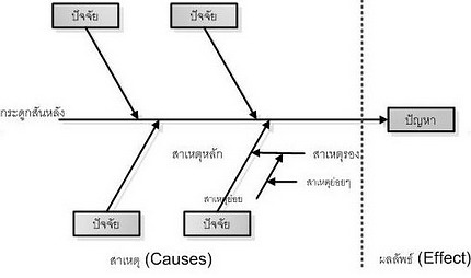 Cause & Effect Diagram